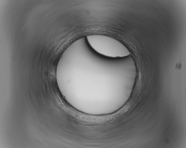X0000111220048200907021010