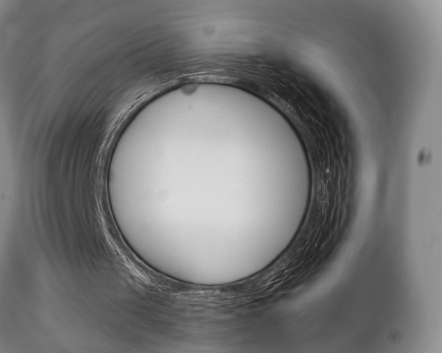 X0000111220049200907021010