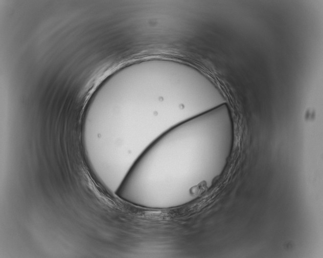 X0000111220050200907021010