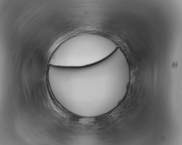 X0000111220051200907021010