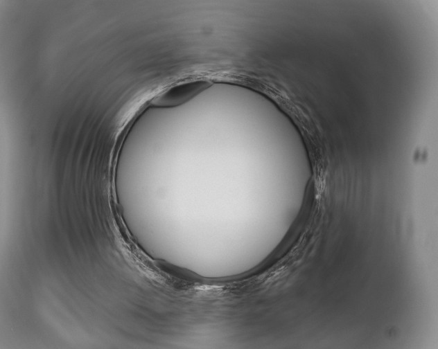 X0000111220052200907021010