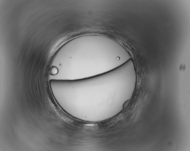 X0000111220053200907021010