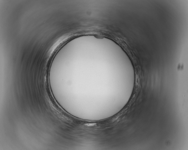 X0000111220054200907021010