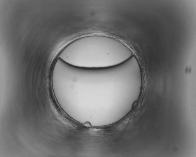 X0000111220055200907021010