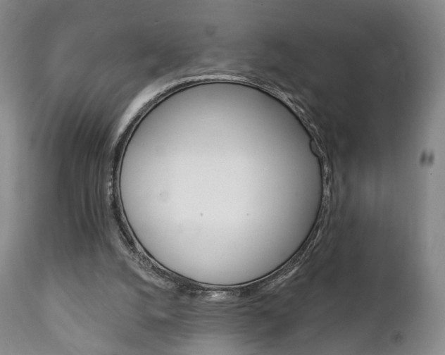 X0000111220056200907021010