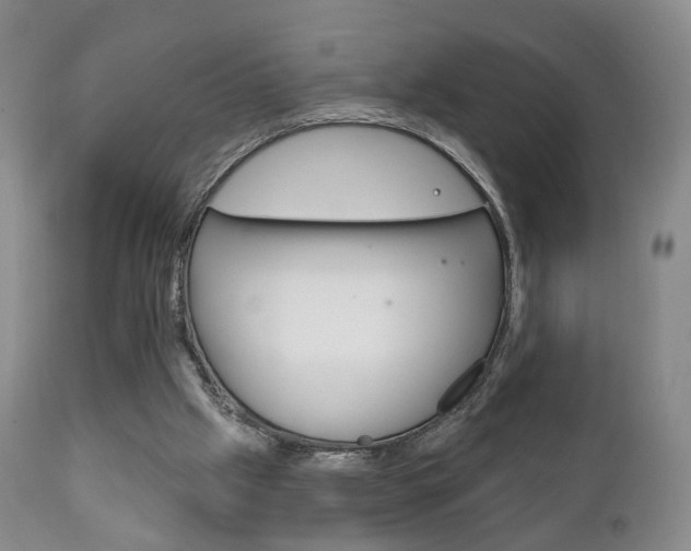 X0000111220057200907021010