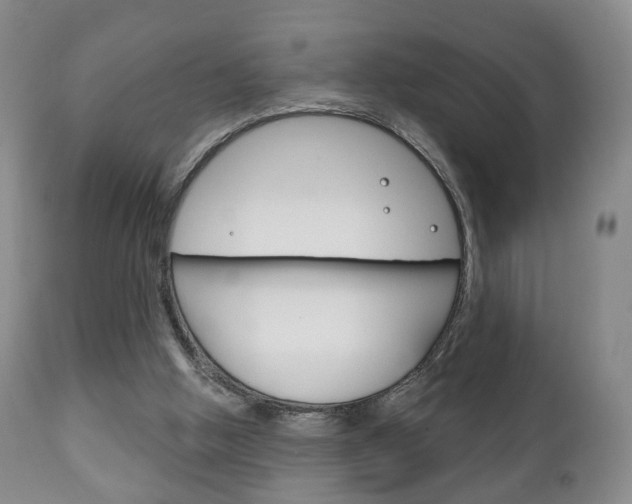 X0000111220058200907021010