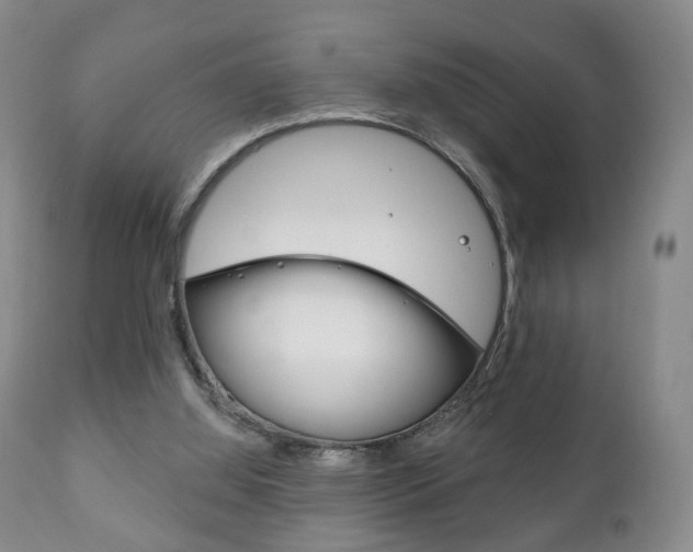 X0000111220060200907021010