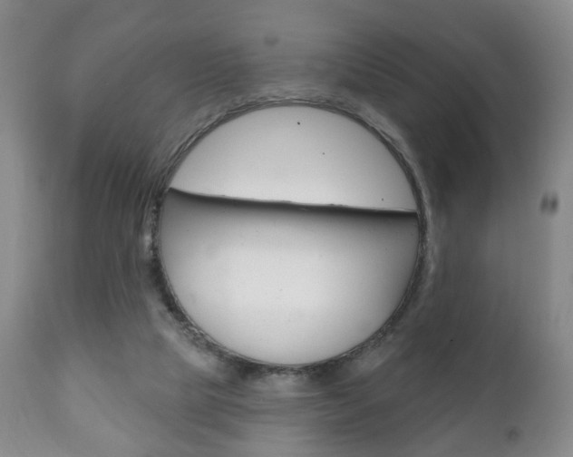 X0000111220065200907021010
