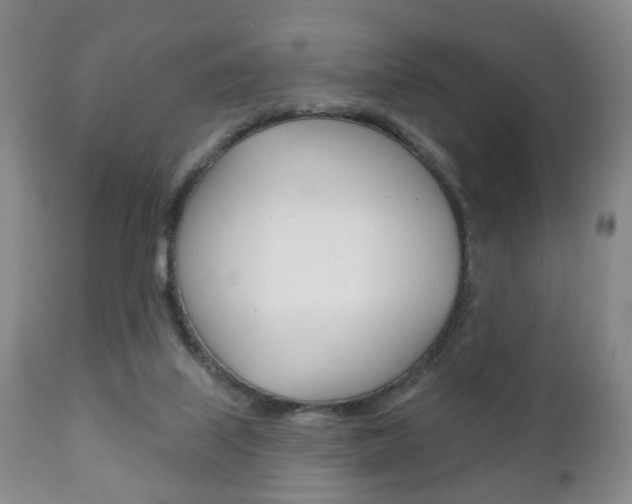 X0000111220067200907021010