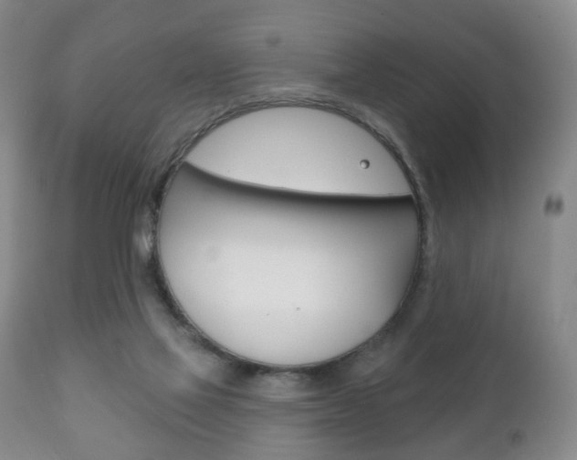 X0000111220069200907021010