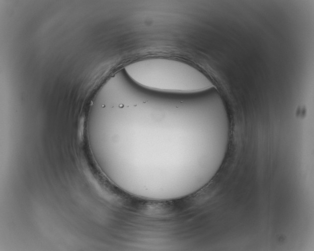 X0000111220070200907021010