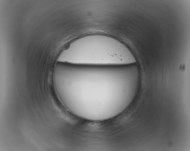 X0000111220071200907021010