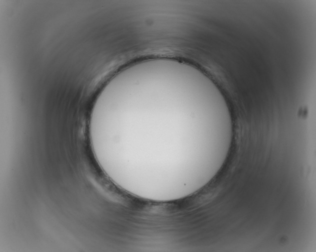X0000111220072200907021010