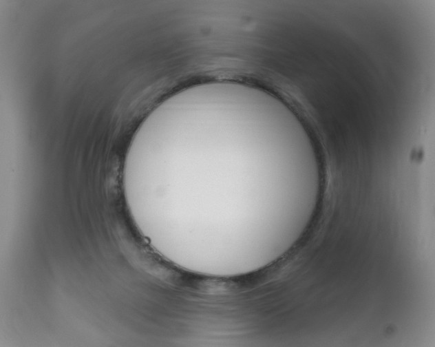 X0000111220073200907021010