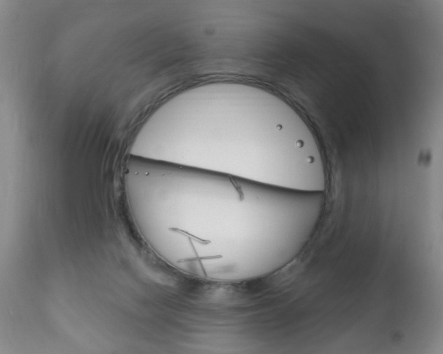 X0000111220074200907021010