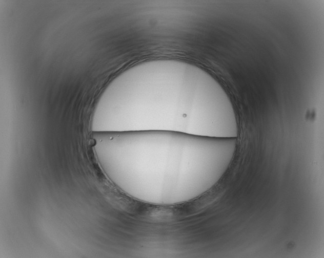 X0000111220075200907021010