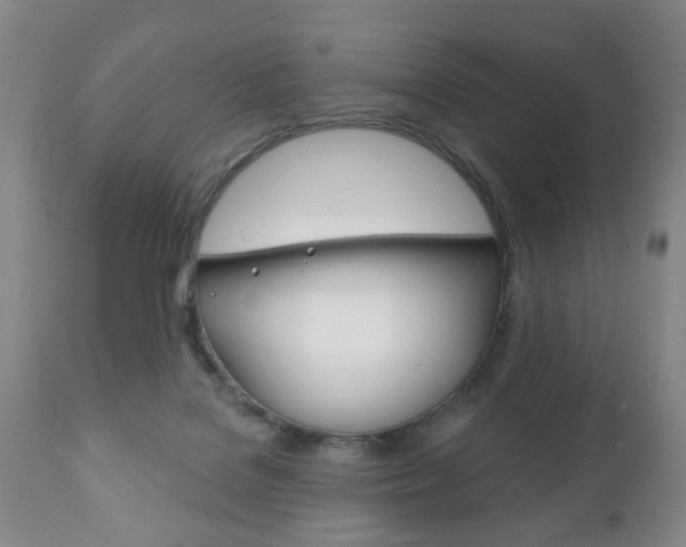 X0000111220076200907021010