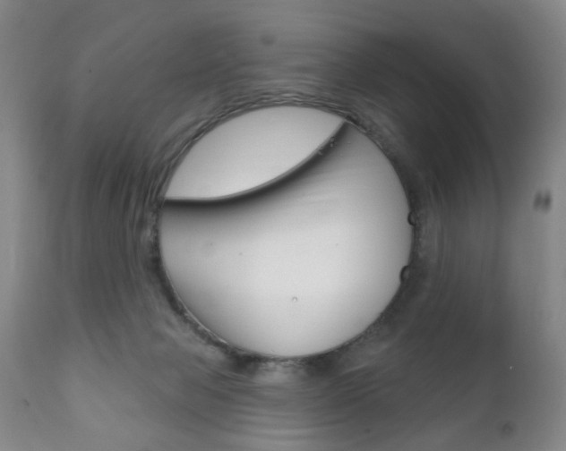 X0000111220077200907021010