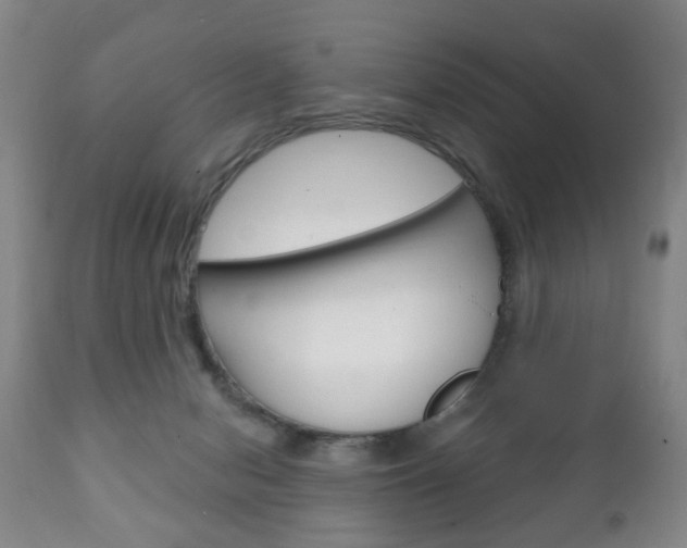 X0000111220078200907021010