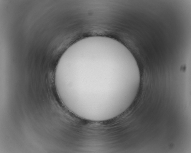 X0000111220079200907021010