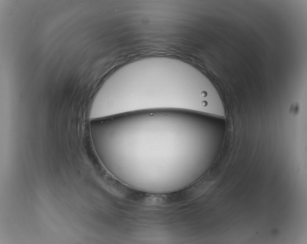 X0000111220080200907021010