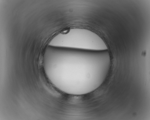X0000111220081200907021010