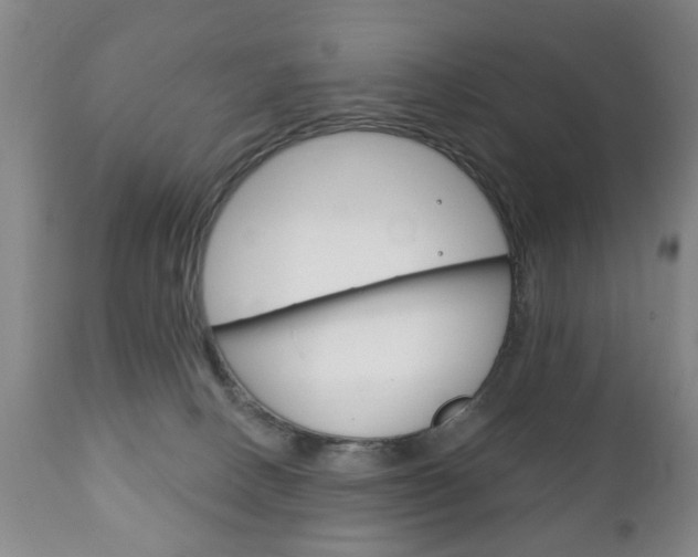 X0000111220082200907021010