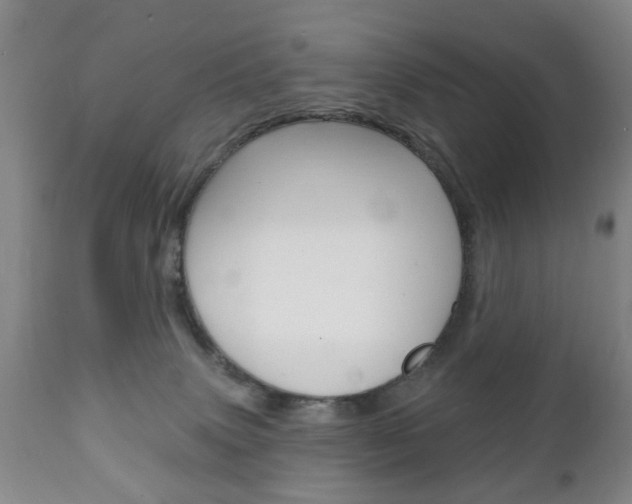 X0000111220083200907021010