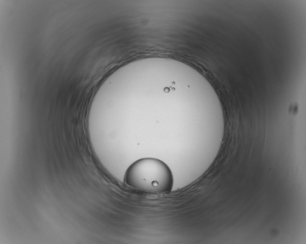 X0000111220084200907021010