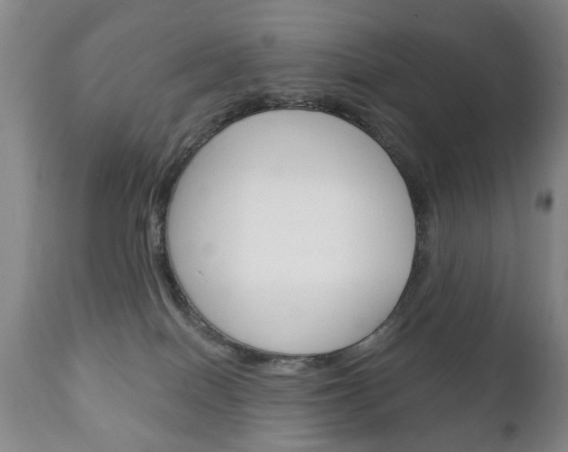 X0000111220086200907021010