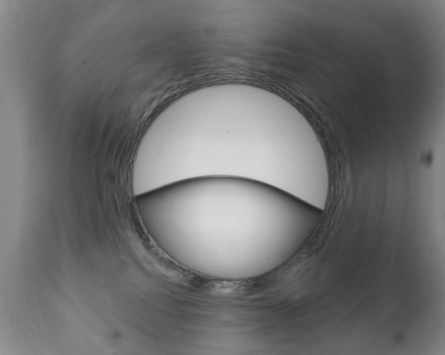 X0000111220088200907021010