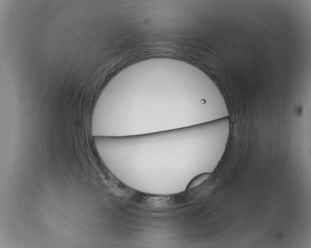 X0000111220089200907021010