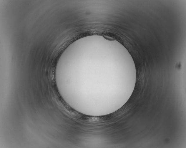 X0000111220091200907021010