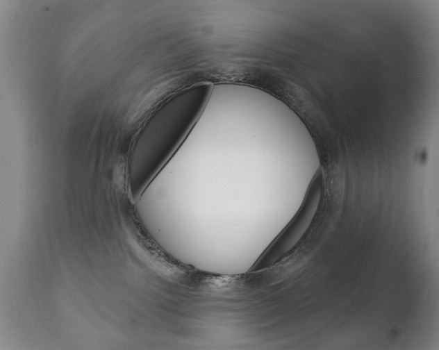 X0000111220092200907021010