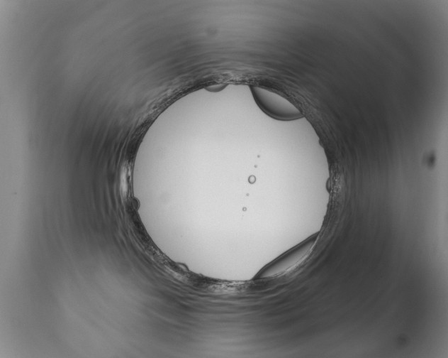 X0000111220094200907021010