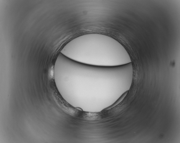 X0000111220095200907021010