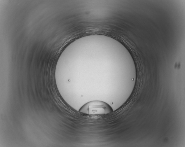 X0000111220096200907021010