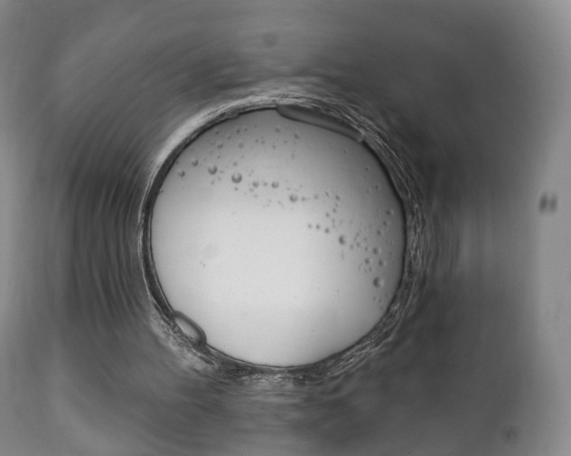 X0000111220100200907021010