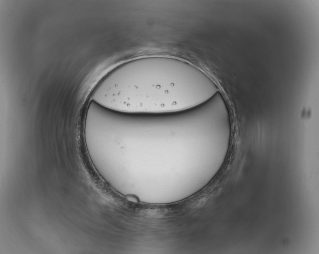 X0000111220103200907021010
