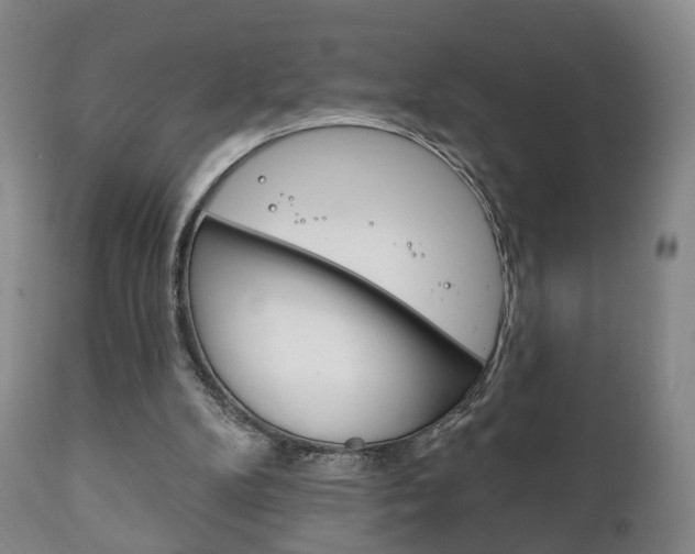 X0000111220104200907021010