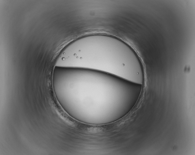 X0000111220105200907021010