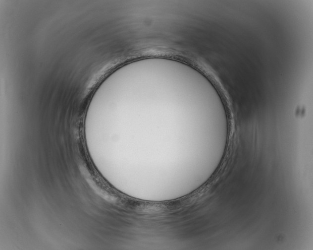 X0000111220106200907021010
