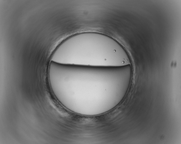 X0000111220107200907021009