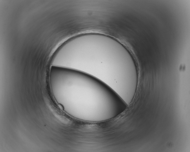 X0000111220108200907021009