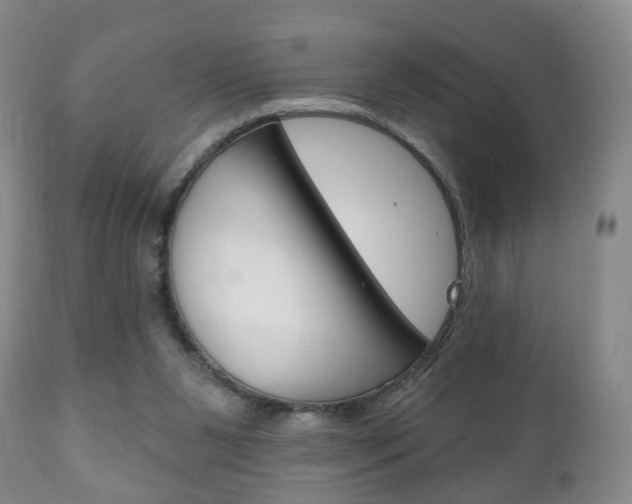 X0000111220111200907021009