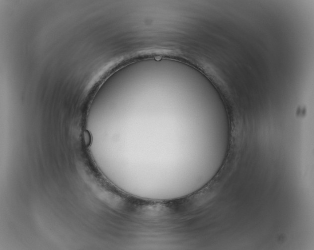 X0000111220112200907021009