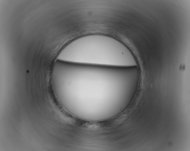 X0000111220113200907021009