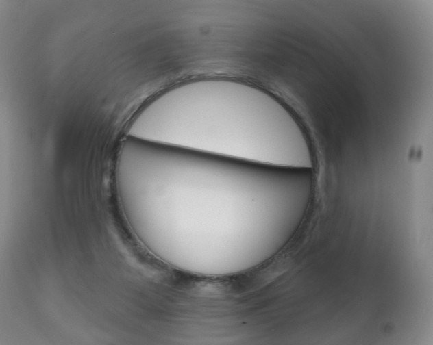 X0000111220115200907021009