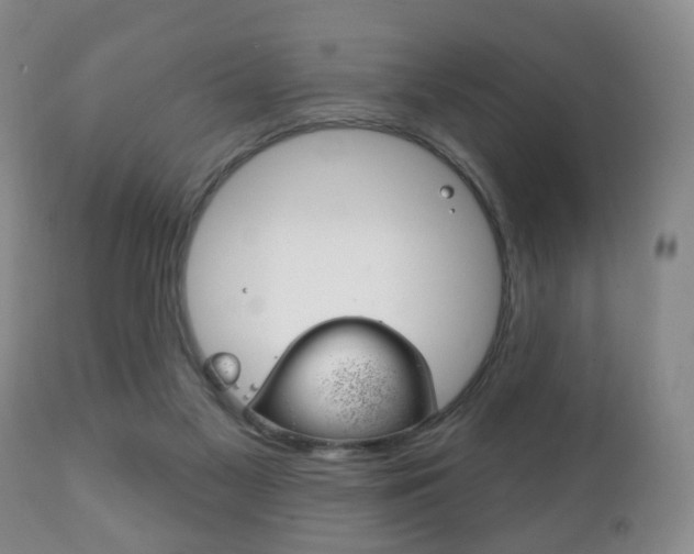 X0000111220117200907021009
